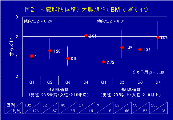 図２　BMIで層別化した、内臓脂肪体積と大腸腺腫との関連